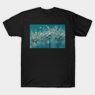 Teal Dandy Drops T-Shirt